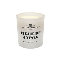 Scented Candle Figue Du Japon, Victor Vaissier