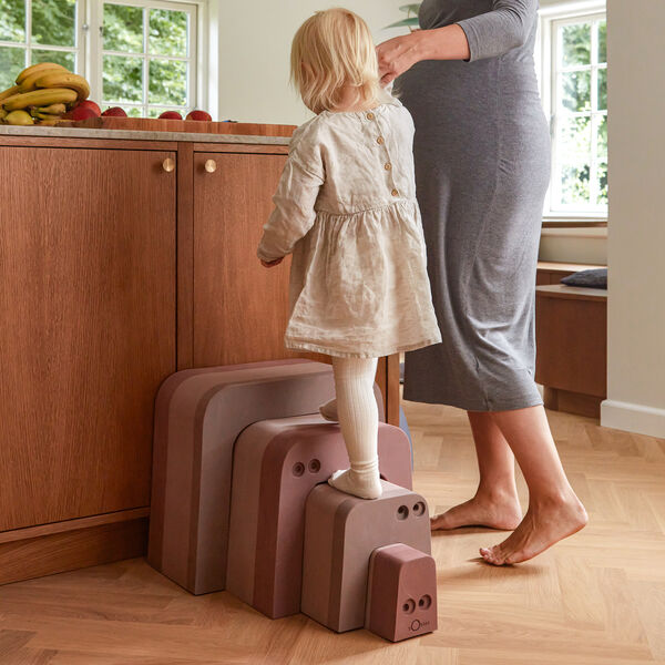 Anteater, vintage rose, bObles