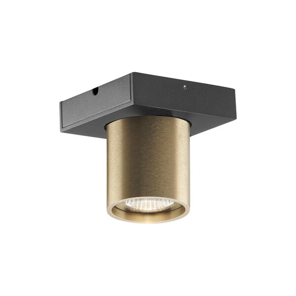 FOCUS MINI 1 Ceiling Spotlight, brass, LIGHT-POINT
