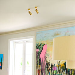 Luminar Canopy Ceiling Light, brass, Rama Lights