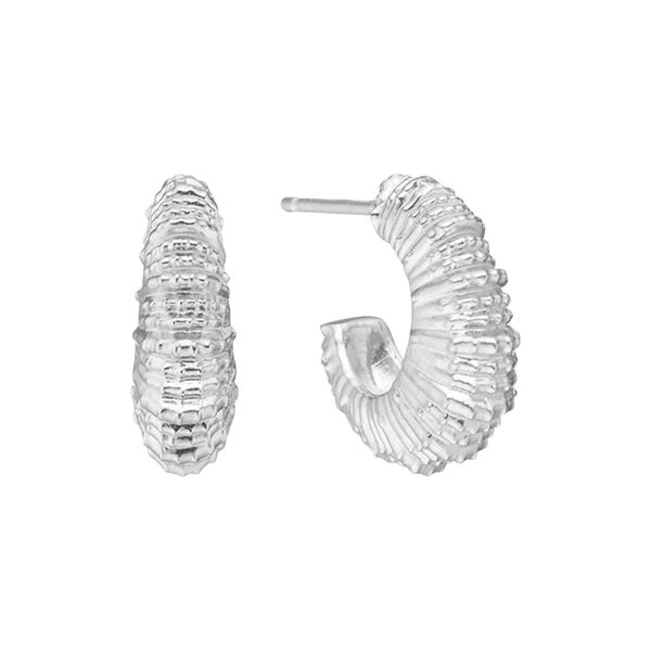 Seashell Secrets Earrings, silver, Studio Z