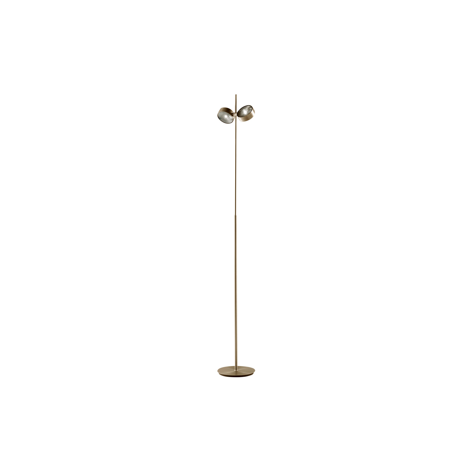 Made 2025 austin lamp