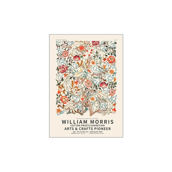 Fleurs et plantes, Poster & Frame