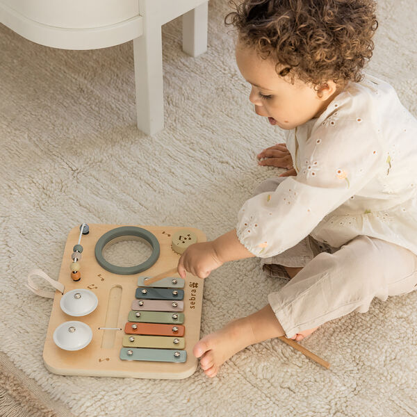 Music Activity Panel Music Activity Panel, Sebra