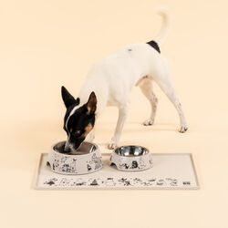 Mumi food bowl Small, Muurla