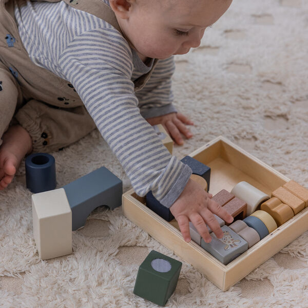 World of Sebra Magic Blocks Box, Sebra