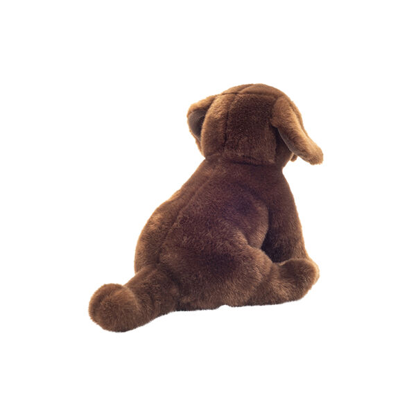 Sitting Labrador, Teddy Hermann