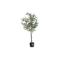 Oliva Olive Tree, 120 LED, Sirius Home