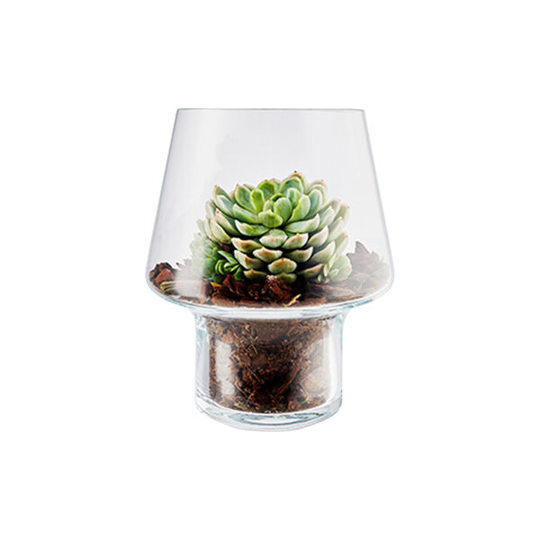 Succulent Vase Succulent Vase, Eva Solo