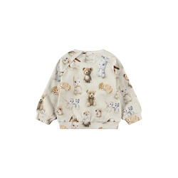 Disc Sweatshirt, felted friends, Molo