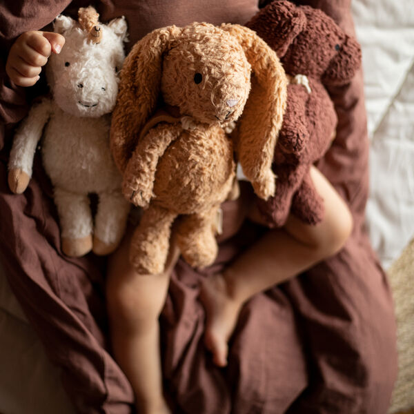 The Listening Rabbit with Cape, Sleeping Hero