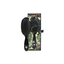 Wet Brush Medium, octopus, Fan Palm