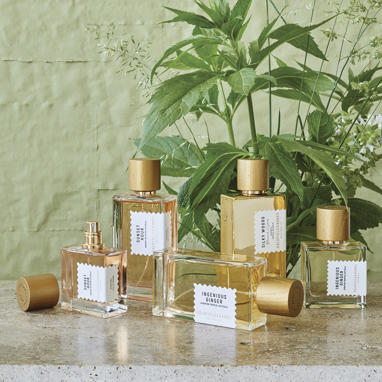 Wood Infusion Perfume